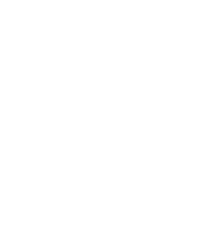 Bauns Logo